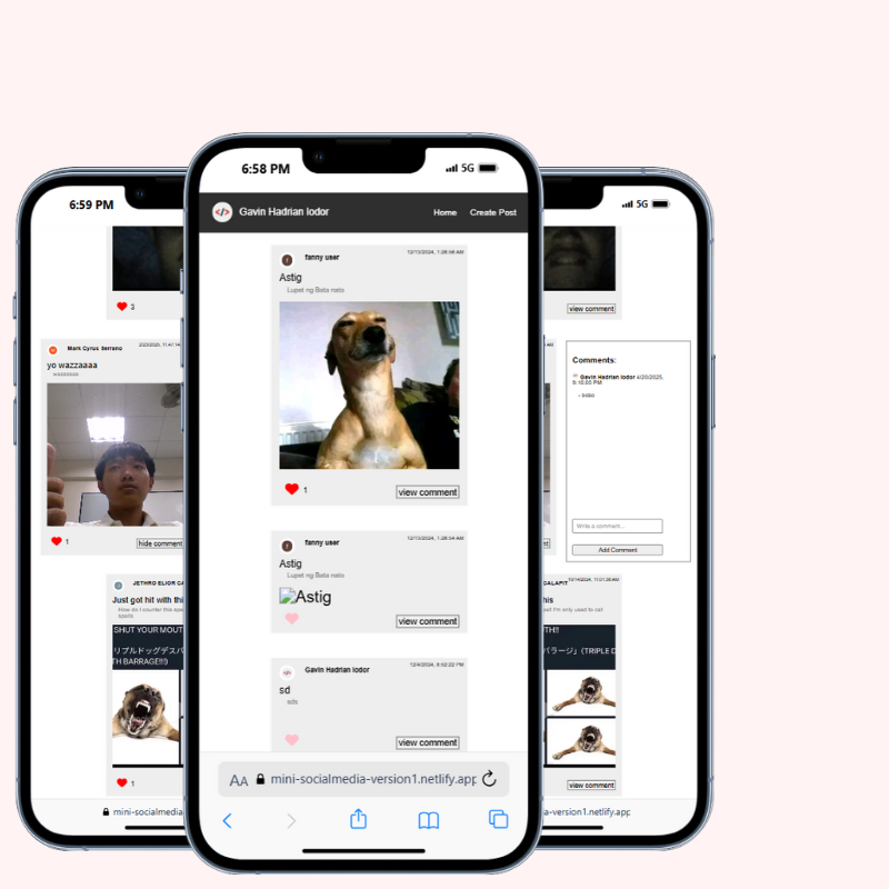 Mini Social Media
